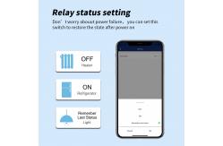 China SDK NFC Wifi Smart Socket 16A Smart Plug Socket supplier
