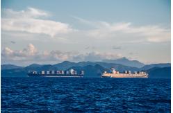 China International Sea Freight Forwarding DDP From China To USA / UK supplier