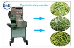 China Multi Function Vegetable Slicer Machine Cabbage celery cutting machine 300-800KG/H supplier