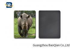 China UV Offset Printing Lenticular 3D Personalised Fridge Magnets Nontoxic Material supplier