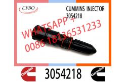 China Common Rail Injector 3047973 3071497 4914537 3054218 for Diesel Engine NT855 supplier
