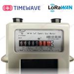 Secure Smart Gas Meter Wireless LoRaWAN Based 1.6 / 2.5 / 4.0m3/H for sale