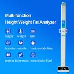 Digital Height Weight Body Composition Analyzer Machine Height Weight Scale for sale