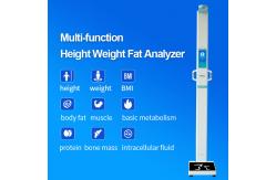 China Digital Height Weight Body Composition Analyzer Machine Height Weight Scale supplier