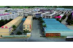 China Areca Palm manufacturer