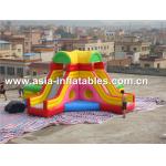 Home Use Inflatable Slide And Bouncer Combo For Children' S Party Games for sale