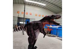 China Customized Real Life T Rex Costume , Indoor Tyrannosaurus Suit supplier