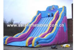 China Giant inflatable slide in Aladin story for children games supplier