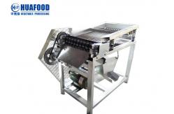 China 50kg/h Special Automatic Food Processing Machines Green Pea Peeling Machine supplier
