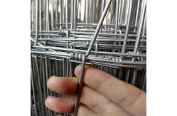 China 2.0mm Wire Galvanised Steel Wire Mesh Cattle Fence Roll Farm Fencing supplier