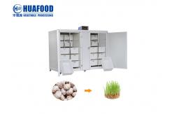 China 250kg/Day Automatic Food Processing Machines Mung Bean Sprout Machine supplier