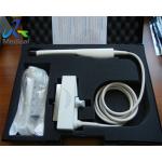 Biosound Esaote EC123 Ultrasound Transducer Probe Microconvex Array Probe for sale