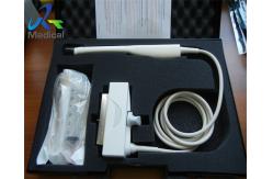 China Biosound Esaote EC123 Ultrasound Transducer Probe Microconvex Array Probe supplier
