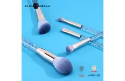 China 5pcs Transparent Plastic Handle Cosmetic Brush Set Customized Packag supplier