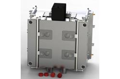 China Multi Cavity Plastics Injection Mold With H13 supplier