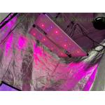 650Watt Seoul 395nm Osram 730nm 4x4 Led Grow Light for sale