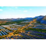 74 M Solar Tracking System Back Tracking Axis Solar Tracker With Worm Gear for sale