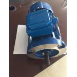15kw 600V 1800rpm NEMA Standard Motor 60Hz TEFC AC Electric Motor for sale