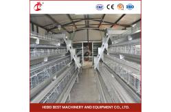 China Hot Galvanized Automatic 160 Chickens A Type Layer Cage Adela supplier