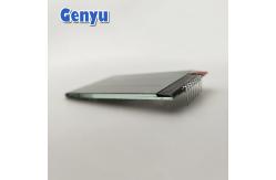 China Customized Sizes COG PIN Segmented TN LCD Display Transflective No Backlight supplier