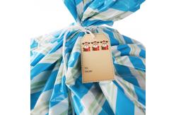 China Gravure Printing LDPE Plastic Large Bike Bag 36x56 With String Tie supplier