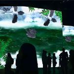 Northern Lights Newest Advertising Interactive Wall 3d Hologram Projection for sale