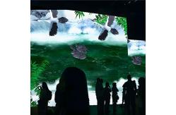 China Northern Lights Interactive Wall Kids Space Exploration Interactive Projection supplier