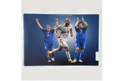 China Daqin Commercial Skin Desktop Sticker Printer And Cutter Plotter for Notebook supplier
