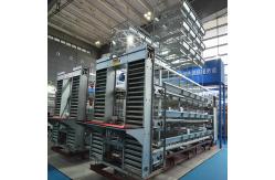 China Commercial 5000pcs/Layer Zn Al Steel Poultry Egg Collection System 100mm Width supplier