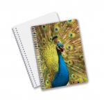 Good Quality Personalized 3D lenticular PET material Promotion Gift Spiral 3D Printing Notebook for sale
