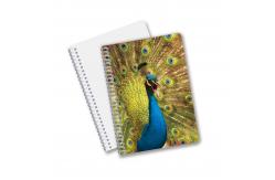 China Good Quality Personalized 3D lenticular PET material Promotion Gift Spiral 3D Printing Notebook supplier