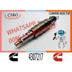 ZQYM Factory Fuel Injector Assembly CRDI 2872544 2872405 2894920 4307217 5491721 4326959 For Cummins Scania XPI Injector for sale