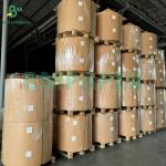 50gsm 328mm Bleached And Unbleached Food Grade Coffee Filter Paper for sale
