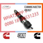 Neutral QSK23 QSK60 QSK19 Diesel Fuel Injector 6560-11-1114 4088420 4077076 4062090 4902827 for sale