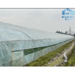 Clear Single Span Poly Greenhouse Farming For Chilli Onion Growing for sale