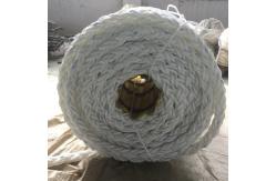 China UV Resistance 8 Strand PP Polypropylene Danline Rope 64mm 220meter Each Roll supplier