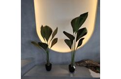 China Artificial Plants The Perfect Solution for Your Home and Office Greenery Needs supplier