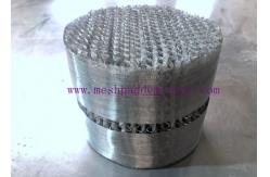 China OEM DN350mm BX500 Wire Mesh Tower Packing supplier