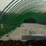 Chicken Poly Tunnel Greenhouse for Poultry Farm Livestock And Poultry Breeding for sale