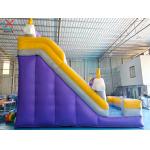 Supplier Commercial Cloud Lightning Inflatable Slide Inflatable Dry Slides Castle
