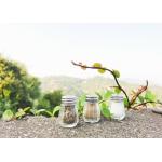Bulk Or Customized Packaging Glass Salt And Pepper Shaker Set With Condiments for sale