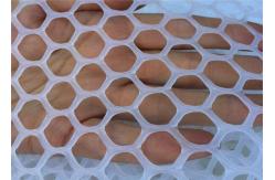China 100% Hdpe White Plastic Mesh Netting Hexagonal Shape Poultry Chicken Aviary supplier