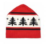 Jacquard Knitted Ski Mens Cotton Beanie , Christmas Knit Slouchy Beanie for sale
