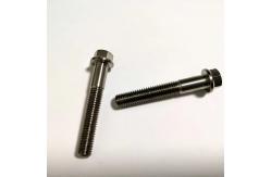 China Titanium Flange Bolt DIN 6921 for automobile supplier