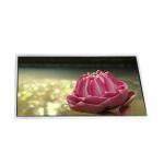 LTN101NT07-802 10.1 inch 1024*600 LCD Screen Module for sale