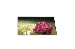 China LTN101NT07-802 10.1 inch 1024*600 LCD Screen Module supplier