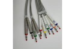 China HP Digitrak Xt 10 Lead Holter ECG Cable With Banana Plug supplier