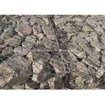 Rust Proof High Zinc Plating Wire Mesh Gabion Basket for sale