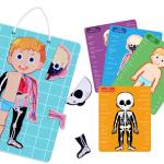 Human Anatomy Body Parts Learning Magnetic Jigsaw Puzzles Games for Toddlers for sale