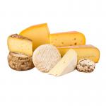 SUS 316L Cheese Making Equipment For Automatic Food Processing for sale